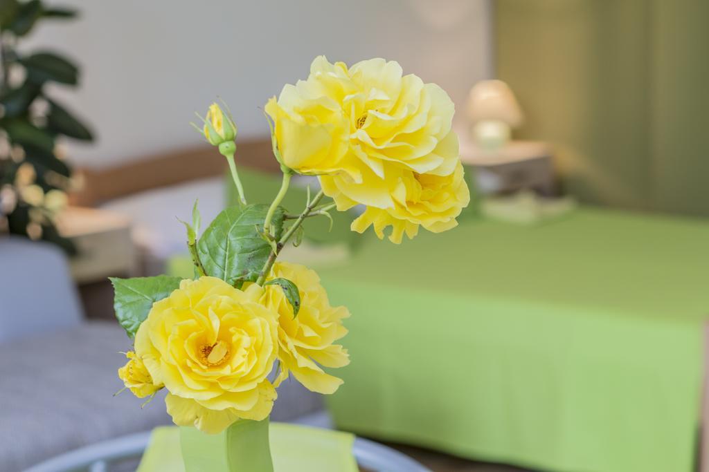 Appartement Istria *