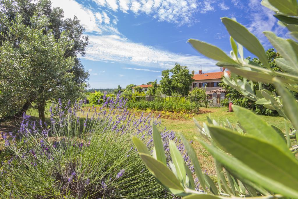 Appartement Istria *